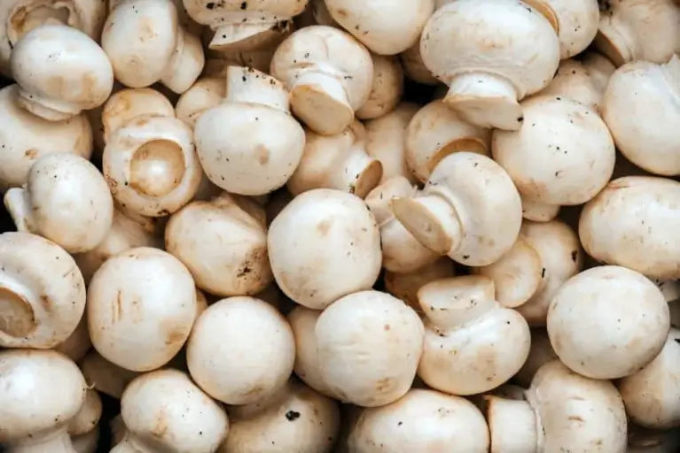 Button Mushroom 2.5kg