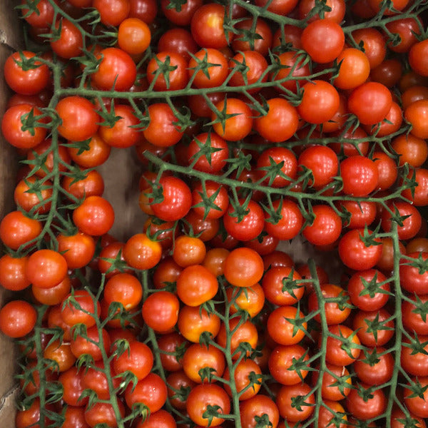 Wine Cherry Tomatoes 3kg