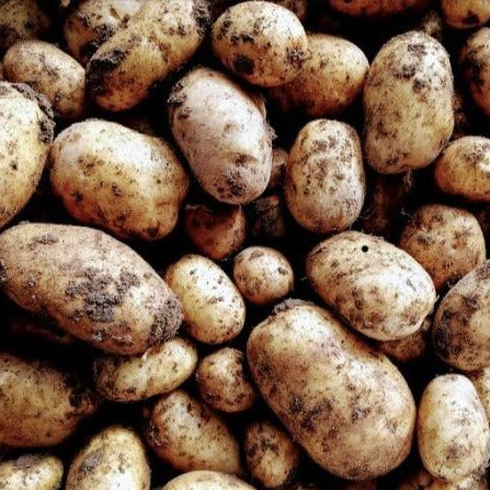 Maries Pippers mud potato white 25kg