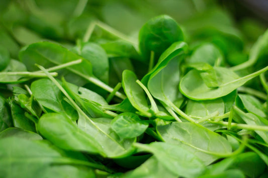 Baby spinach